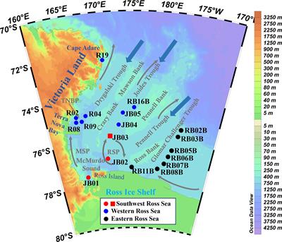 Spatial and historical patterns of sedimentary organic matter sources and environmental changes in the Ross Sea, Antarctic: implication from bulk and n-alkane proxies